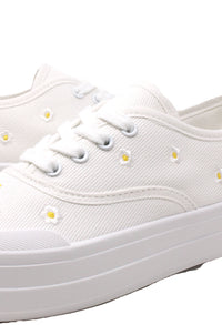 Daisy Trainer