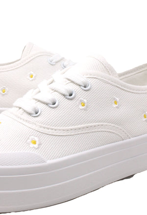 Daisy Trainer