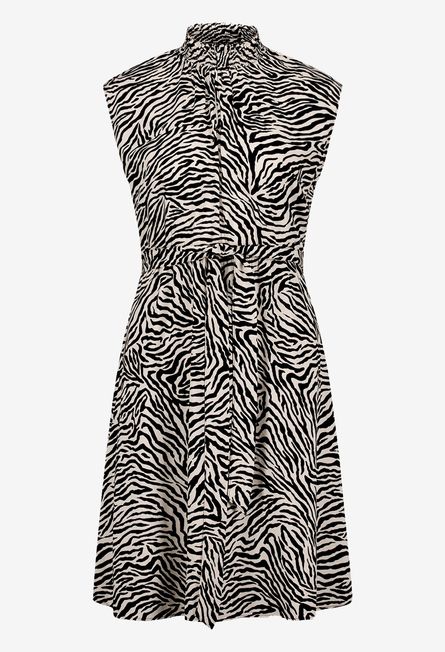 Zebra Print Short Dress