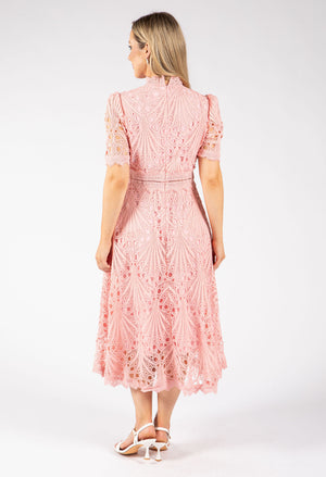 Peacock Lace Midi Dress