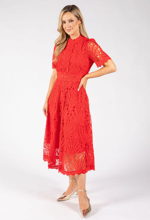 Peacock Lace Midi Dress