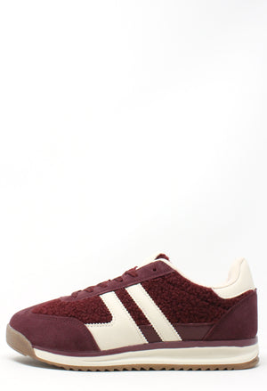 Teddy Trainer