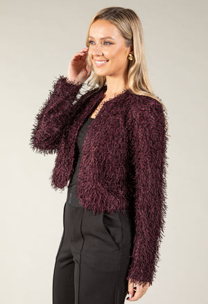 Fringe Sequins Cropped Jacket