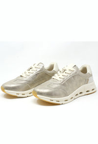 Dawson Trainer