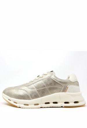 Dawson Trainer