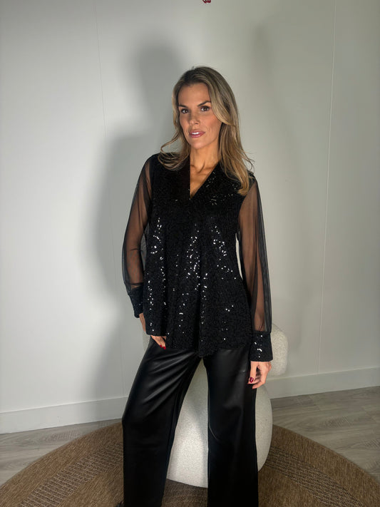 Sheer Sleeve Sequin Blouse