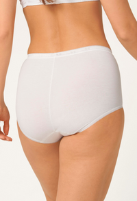 Maxi Basic Premium Comfort Brief 3 Pack