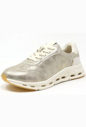 Dawson Trainer